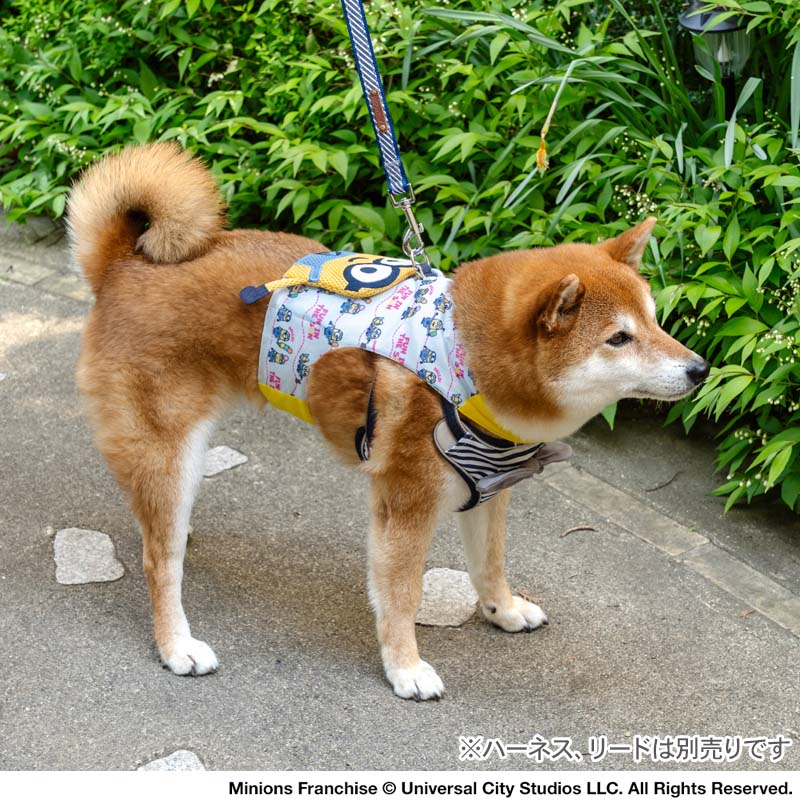 Minion dog clothes spring summer ice pattern cool vest