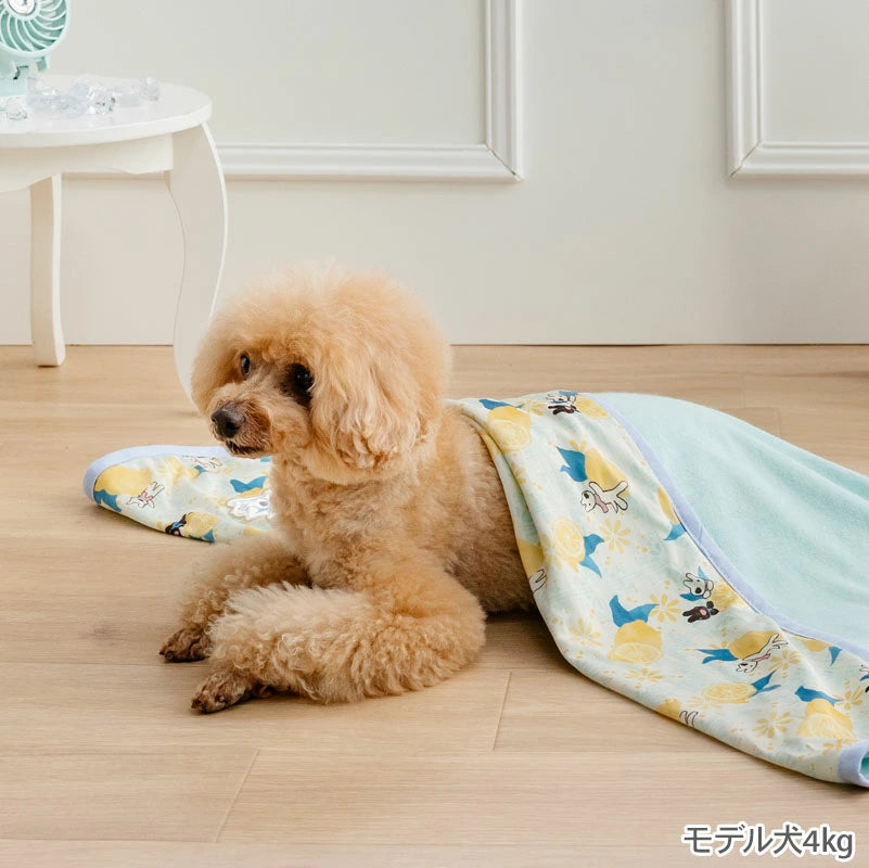 Authentic Lisa & Gaspard Cool-Touch Summer Blanket – Citrus Pattern (90 × 60cm)