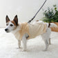 Snoopy dog clothes, spring, open-arm sweatshirt, easy to put on, for small dogs, beige | Autumn/winter, harness and lead hole, layered, wind, going out, going for a walk