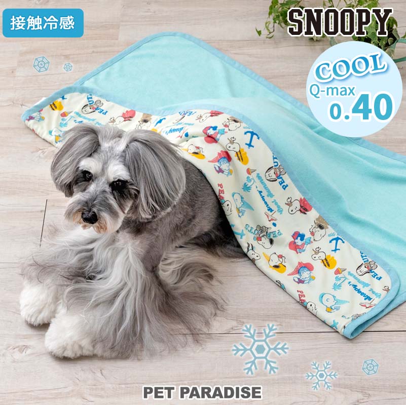 Snoopy Dog Blanket for Summer Cool Ice Pattern