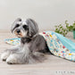 Snoopy Dog Blanket for Summer Cool Ice Pattern