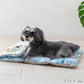 Snoopy Summer Cooling Cushion Surf Print Roll Mat Cooling Touch, Portable, Cooling Bed for Cats, Car