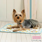 Snoopy Dog Cool Mat Summer S & L