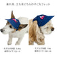 Snoopy dog clothes hat spring denim style cap