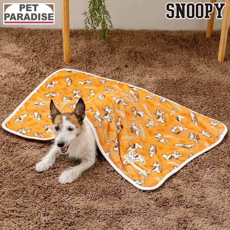 Authentic Snoopy Tekuteku Dog Blanket – Winter Pet Blanket (90x60cm)