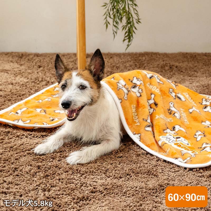 Authentic Snoopy Tekuteku Dog Blanket – Winter Pet Blanket (90x60cm)