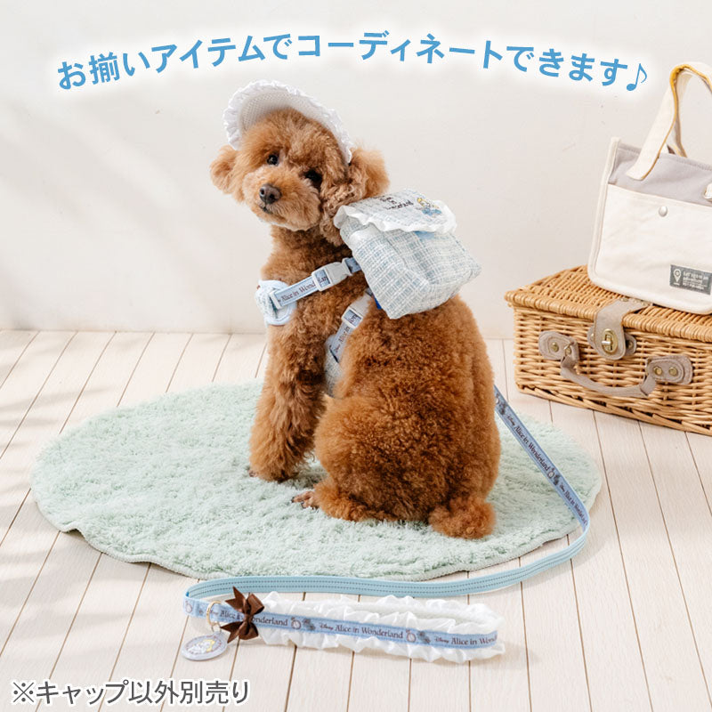 Authentic Disney Alice in Wonderland Frilled Dog & Cat Hat – Heat-Shielding Japanese Pet Hat