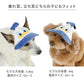 Authentic Disney Donald Duck Dog & Cat Cap – Heat-Shielding Japanese Pet Hat