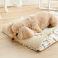 Authentic Disney Winnie the Pooh Pet Cool Mat – Summer Roll Cushion