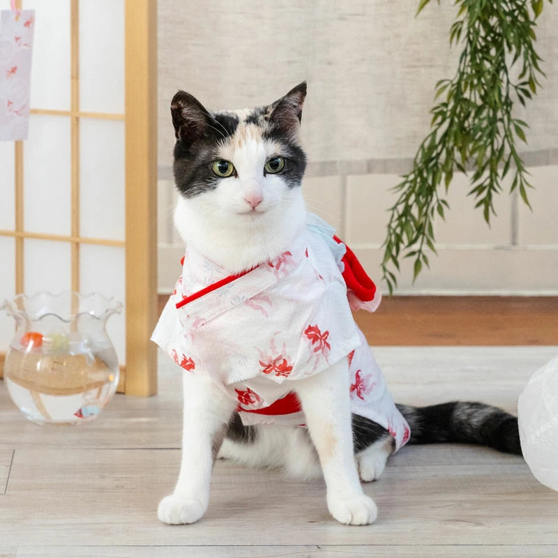Summer clothes for dogs, goldfish pattern, yukata, Japanese style, Japanese pattern