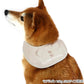 Bear-shaped, cool bandana