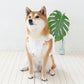 Dog clothes for spring and summer, bustier style, pockets, cool vest, for small and medium-sized dogs | White, ice pack, cool, cool to the touch, neck cooler, dog clothes, heat protection, cool, stylish