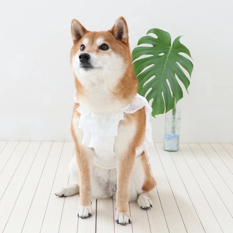 Dog clothes for spring and summer, bustier style, pockets, cool vest, for small and medium-sized dogs | White, ice pack, cool, cool to the touch, neck cooler, dog clothes, heat protection, cool, stylish