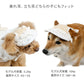 Frilled Cap