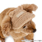 Bear Cap