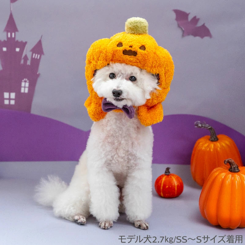 Halloween Pumpkin Hat