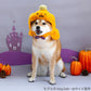 Halloween Pumpkin Hat