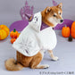 Halloween, Ghost Cape with Leash Hole
