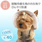 Lace Frill Pet Cap for Dogs & Cats | Japanese Style