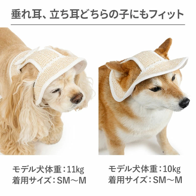 Lace Frill Pet Cap for Dogs & Cats | Japanese Style