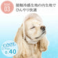 Lace Frill Pet Cap for Dogs & Cats | Japanese Style