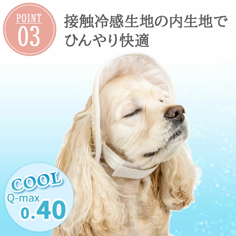 Lace Frill Pet Cap for Dogs & Cats | Japanese Style