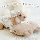 Bear Dog Pajamas with Hat – Cotton