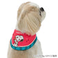 Authentic Snoopy Dog Cool Neck Watermelon Pattern Cool Bandana