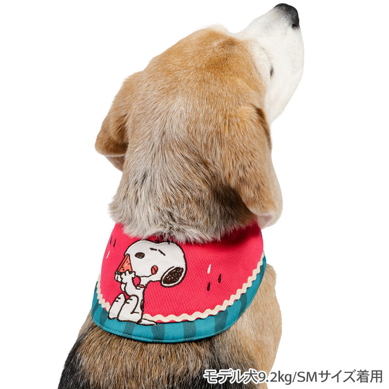 Authentic Snoopy Dog Cool Neck Watermelon Pattern Cool Bandana