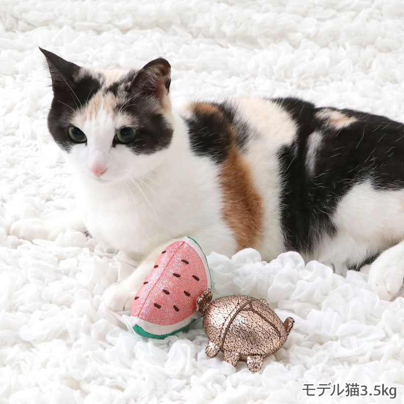 Vibrating Beetle Cat Toy with Watermelon – Pull-String Interactive Cat Toy