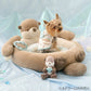 Otter Cool Cuddler Dog Bed – Cool-Touch Summer Pet Bed (57 × 82cm)