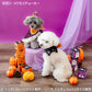 Halloween Wear Costume Purple with Hat | Witch, Wizard Cape