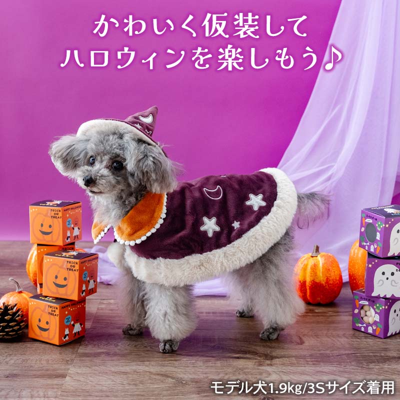 Halloween Wear Costume Purple with Hat | Witch, Wizard Cape