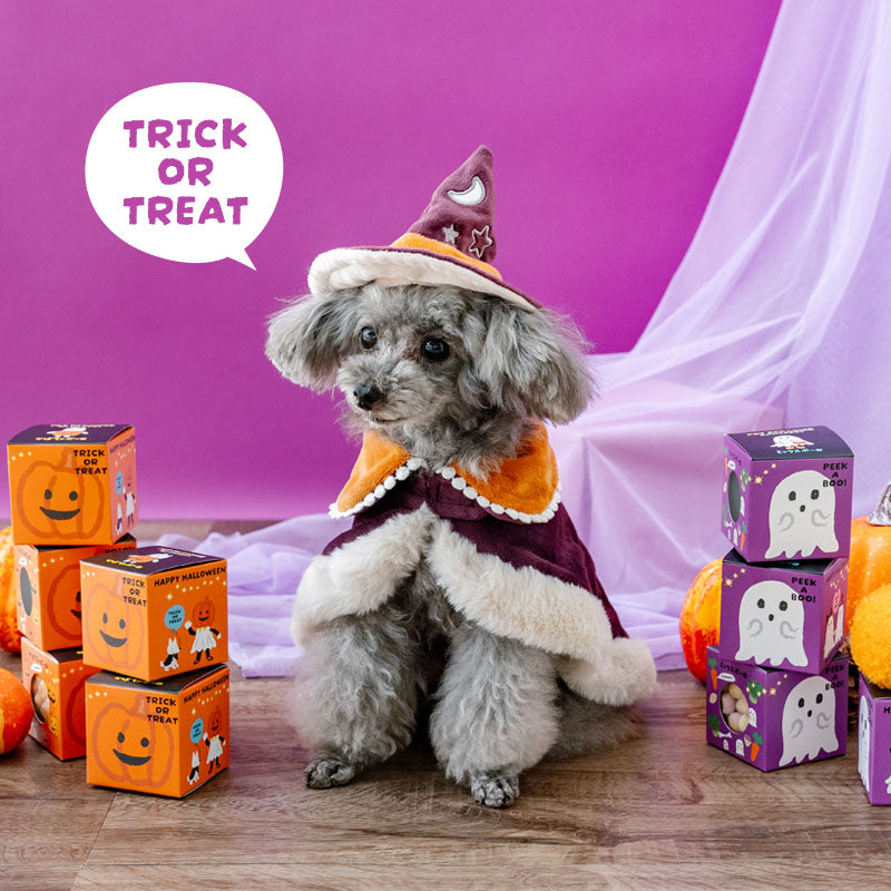 Halloween Wear Costume Purple with Hat | Witch, Wizard Cape