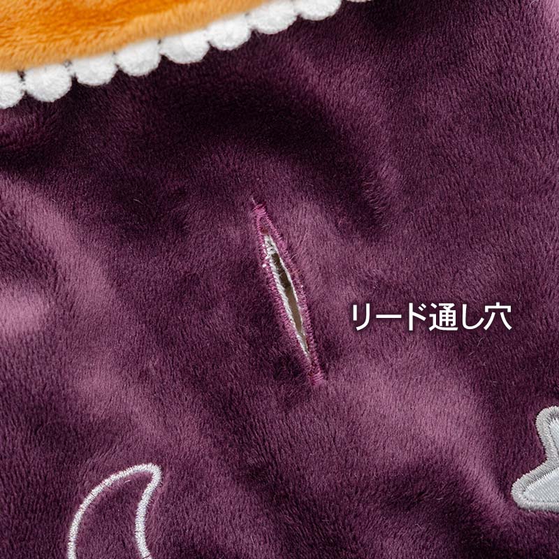 Halloween Wear Costume Purple with Hat | Witch, Wizard Cape