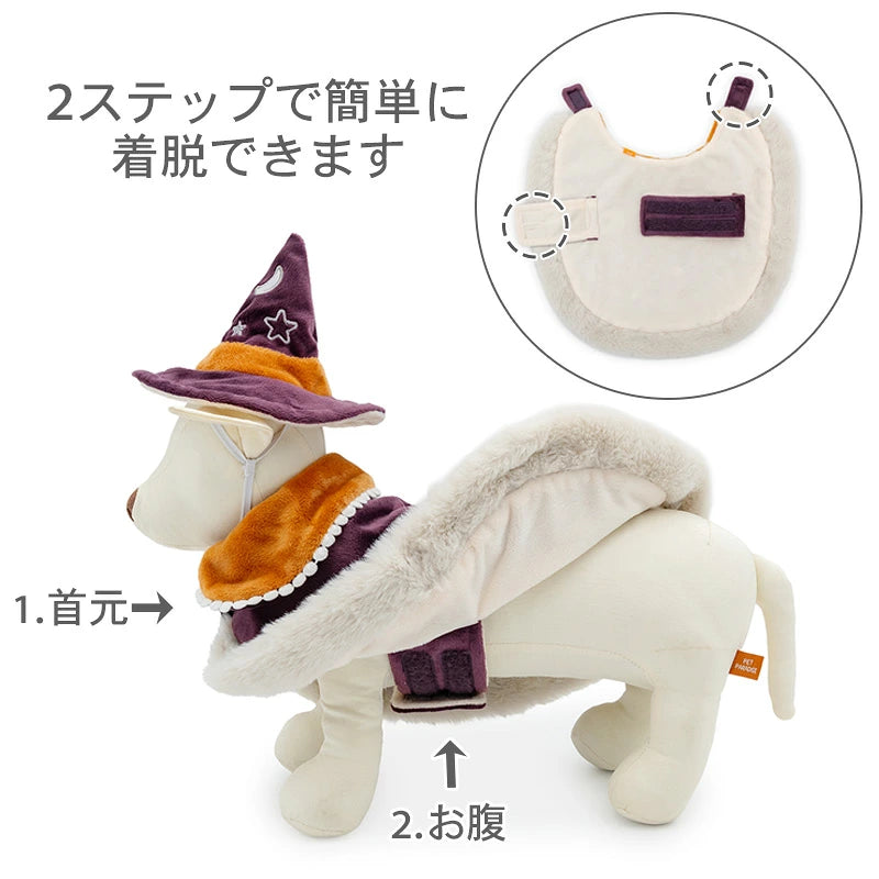 Halloween Wear Costume Purple with Hat | Witch, Wizard Cape