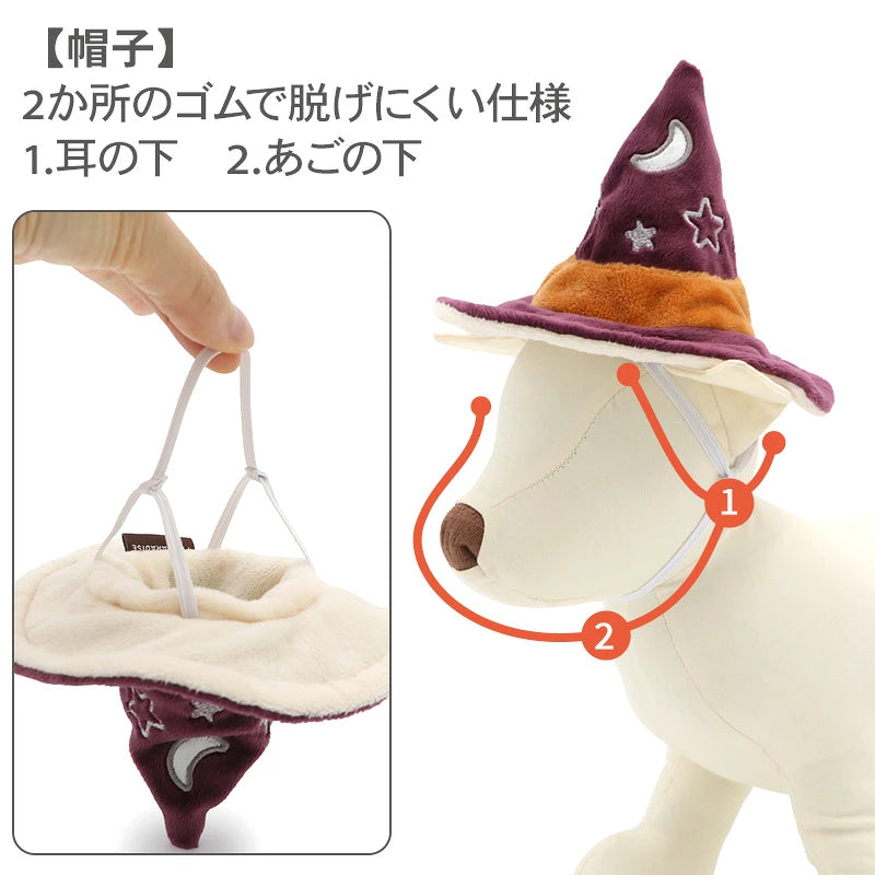Halloween Wear Costume Purple with Hat | Witch, Wizard Cape
