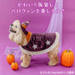 Halloween Wear Costume Purple with Hat | Witch, Wizard Cape
