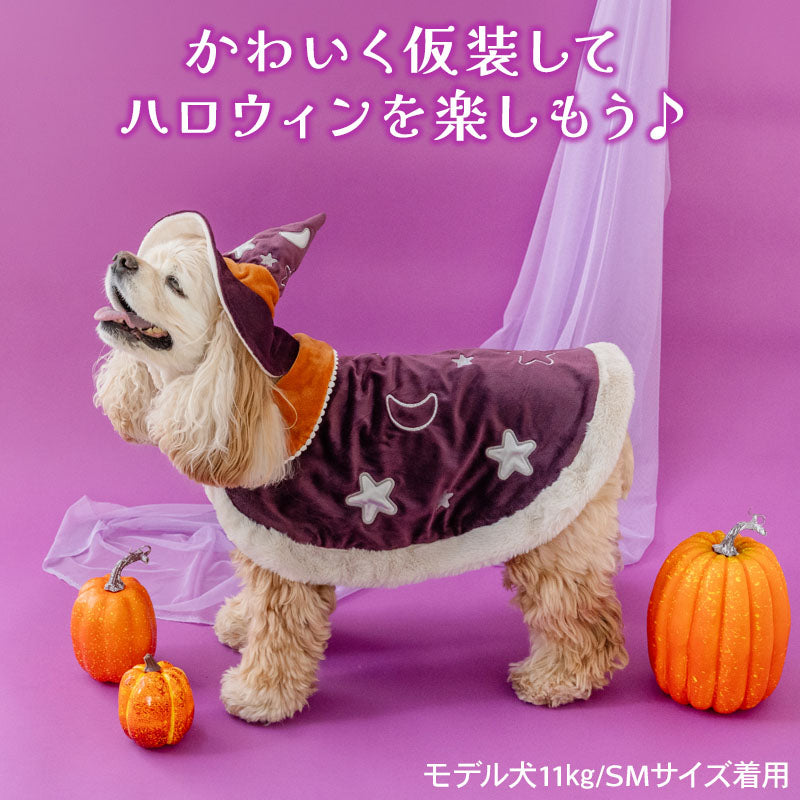 Halloween Wear Costume Purple with Hat | Witch, Wizard Cape