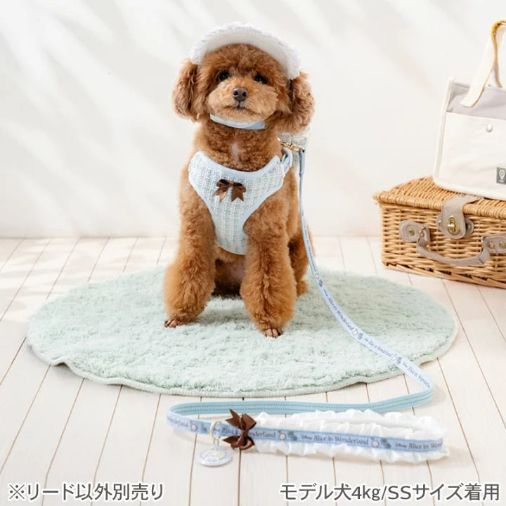 Authentic Disney Alice Backpack Harness and Leash