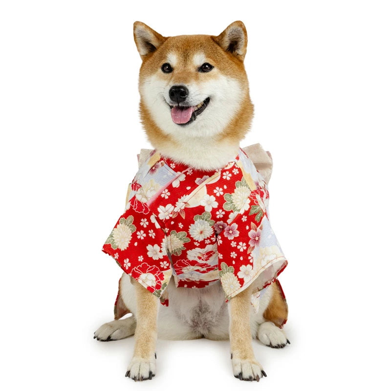 Kimono with Chrysanthemum and Peony Pattern