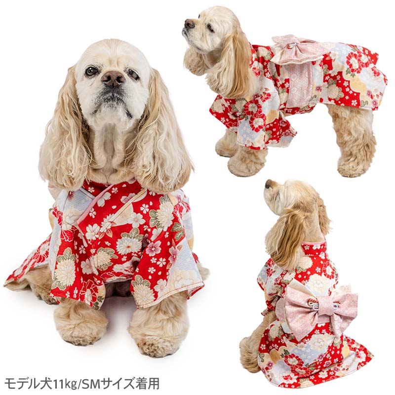 Kimono with Chrysanthemum and Peony Pattern