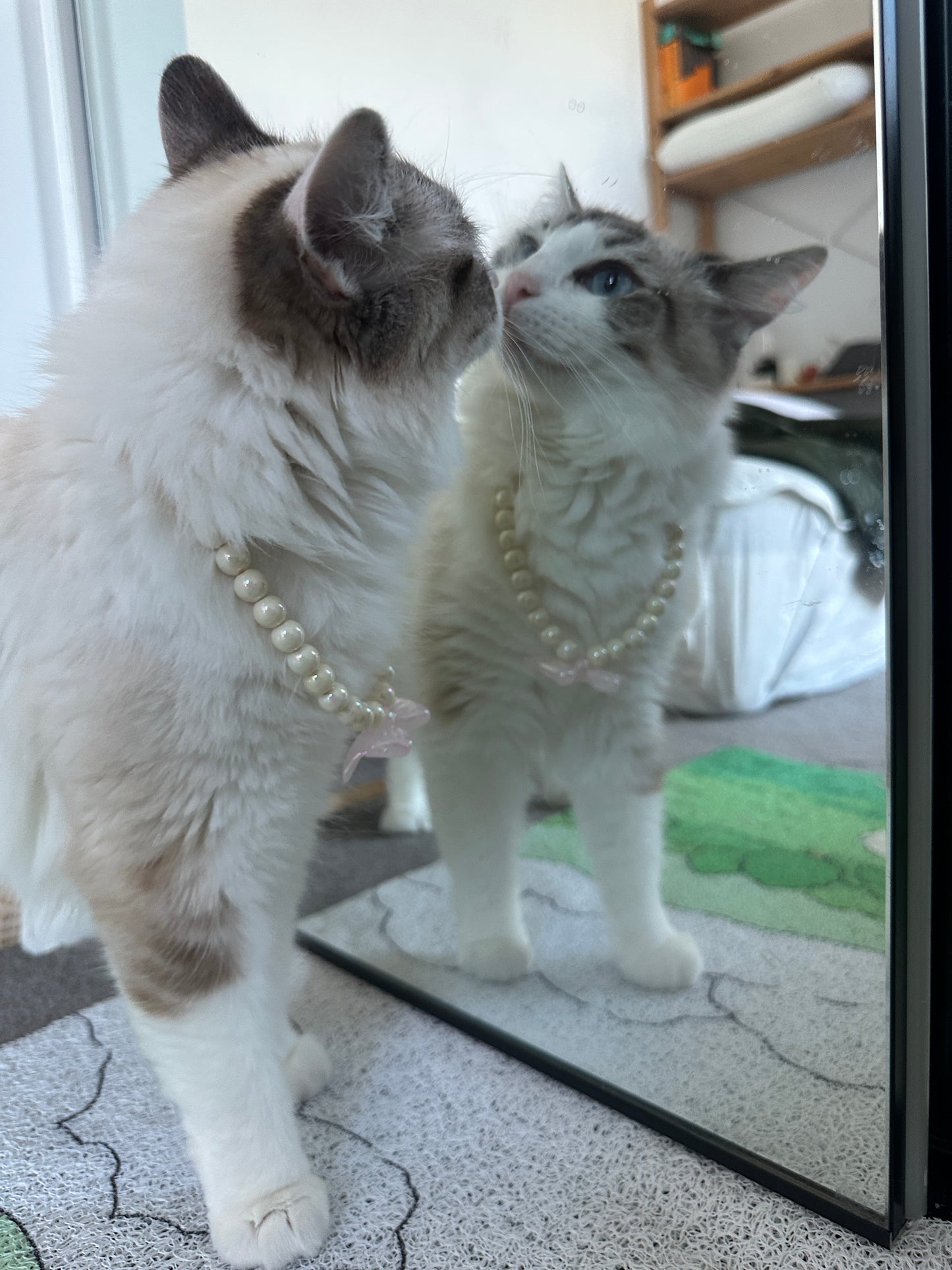 Pet Necklace