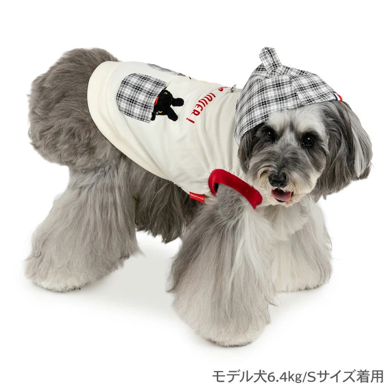 aspard and Lisa Dog Clothes, Autumn Checkered Hoodie