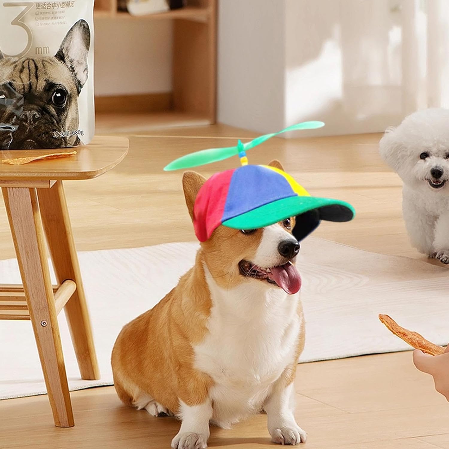 Dog Propeller Hat Pet Outdoor Sports Hats with Ear Holes Dog Hat