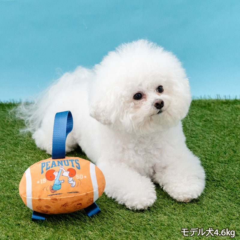 Authentic Snoopy Rugby Ball Dog Toy with Tab – Authentic Peanuts® Pet Toy