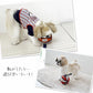 Snoopy Dog Toy with Tab Basketball Ball for Small Dogs and Extra Small Dogs | Red TOY Basketball Toy Pet Toy Cute