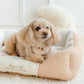 Goodnight Bear Cuddler Brown Bear 4 Sizes