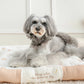 Goodnight Bear Cuddler Brown Bear 4 Sizes
