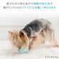 Cool Seashell Squeaky Toy